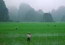 TOURISTS IN Hoa Lu - Tam Coc tour